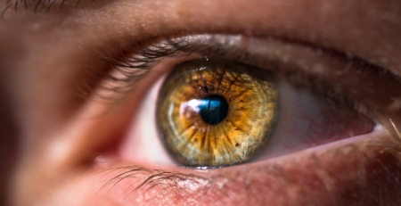 SPO alerta para as consequências da retinopatia diabética