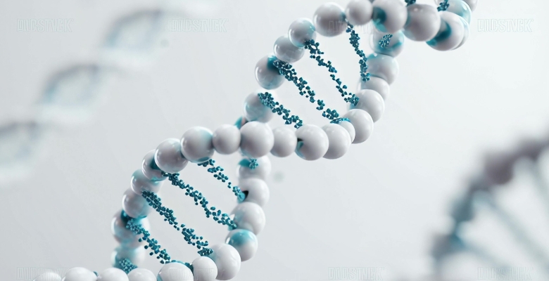 Ferritina e hemoglobina emergem como biomarcadores na diabetes