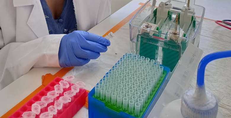 Investigadores identificam mecanismo celular associado ao desequilíbrio metabólico